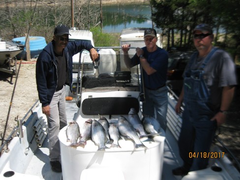 Nice Striped Bass